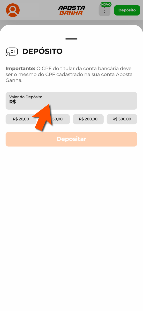 Informe valor na Aposta Ganha e confirme depósito com segurança.