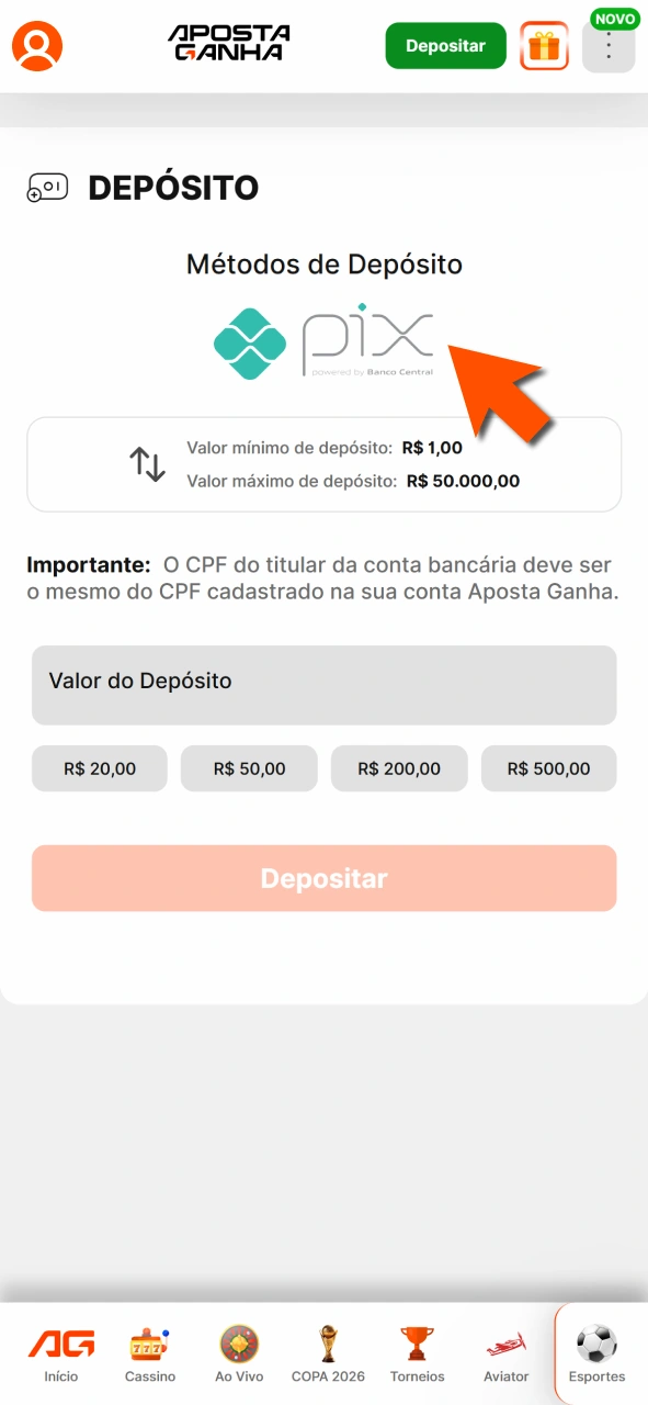 Opte por método na Aposta Ganha e realize depósito com praticidade.