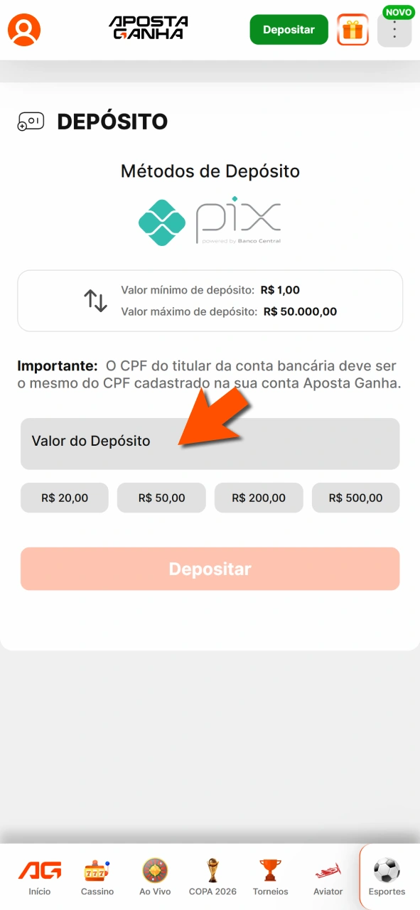 Informe valor na Aposta Ganha e confirme depósito com segurança.